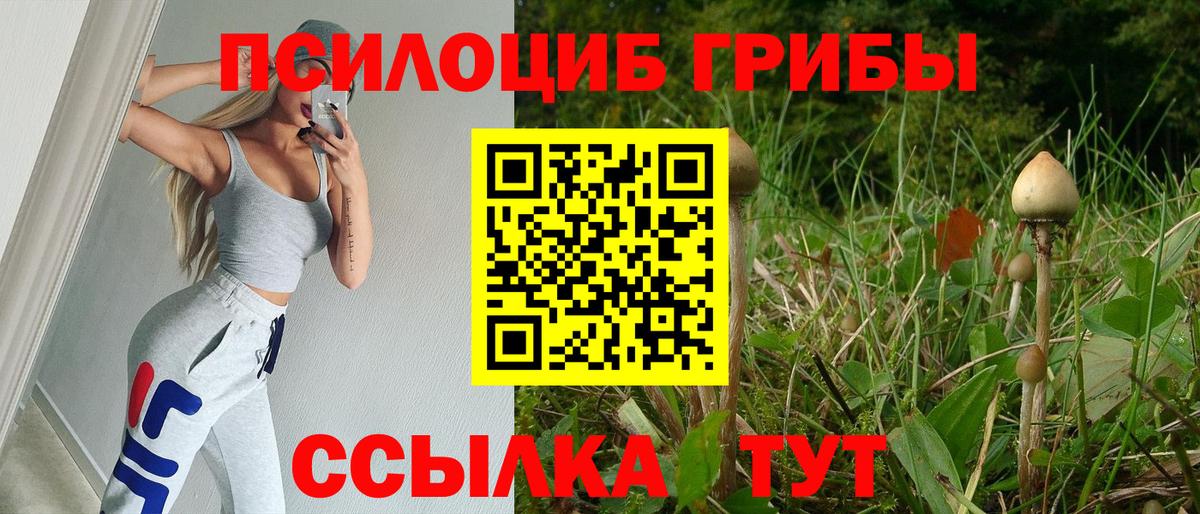 Ковров  Псилоцибиновые грибы Psilocybine cubensis  Галлюциногенные грибы MAGIC MUSHROOMS  Вход с VPN 